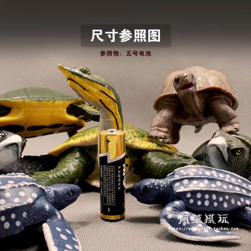Lederback Rotohrschildkröte La – Ocean Aquarium Bewertung und Preis