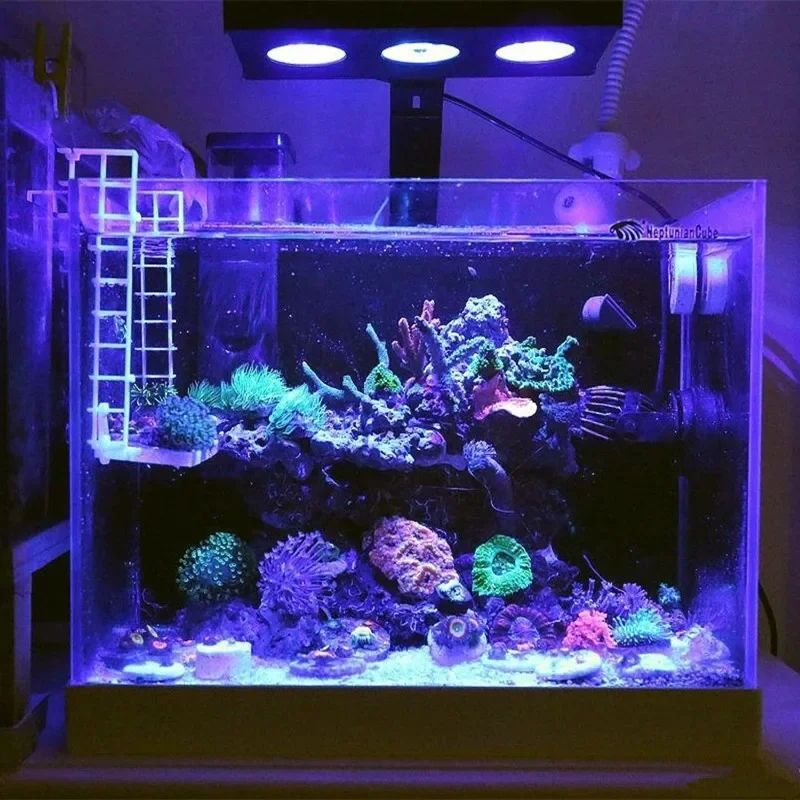Spectra Nano 029 LED-Aquariumb – Reef Lighting Bewertung und Preis