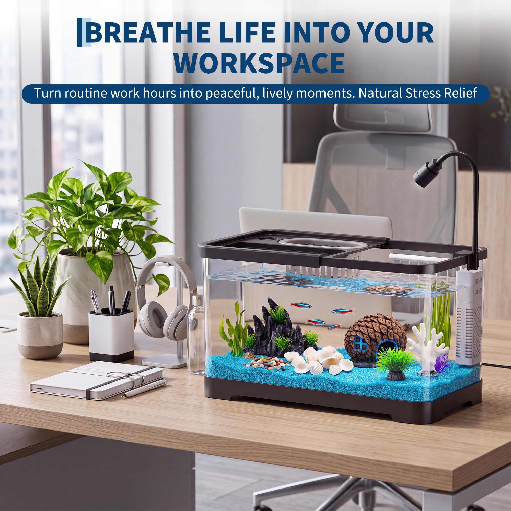 Aquarium-Starter-Set mit Filte – Reef Tank Filter Bewertung und Preis
