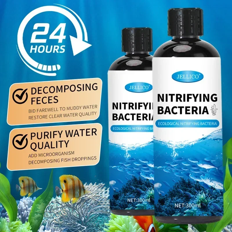 Nitrifizierende Bakterien Flüs – Ocean Aquarium Bewertung und Preis