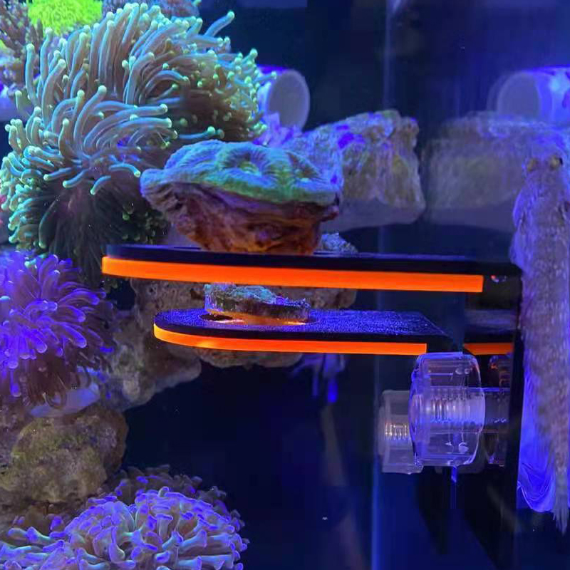 Aquarium Acryl-Fluoreszenz-Kor – Marine Coral Bewertung und Preis