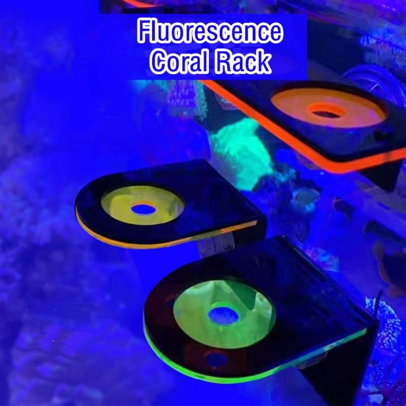 Aquarium Acryl-Fluoreszenz-Kor – Marine Coral Bewertung und Preis