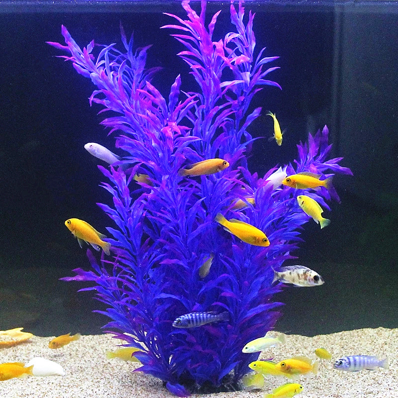 50CM Künstliche Aquarium Selte – Ocean Aquarium Bewertung und Preis
