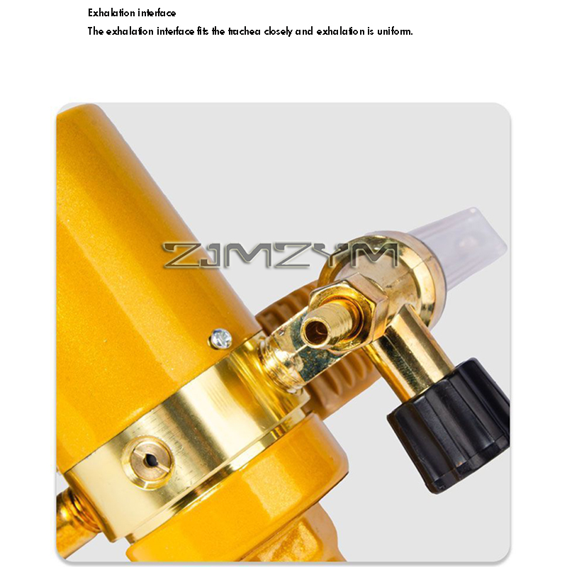 Sauerstoffmessgerät/Acetylen/N – Nitrate Reductase Bewertung und Preis