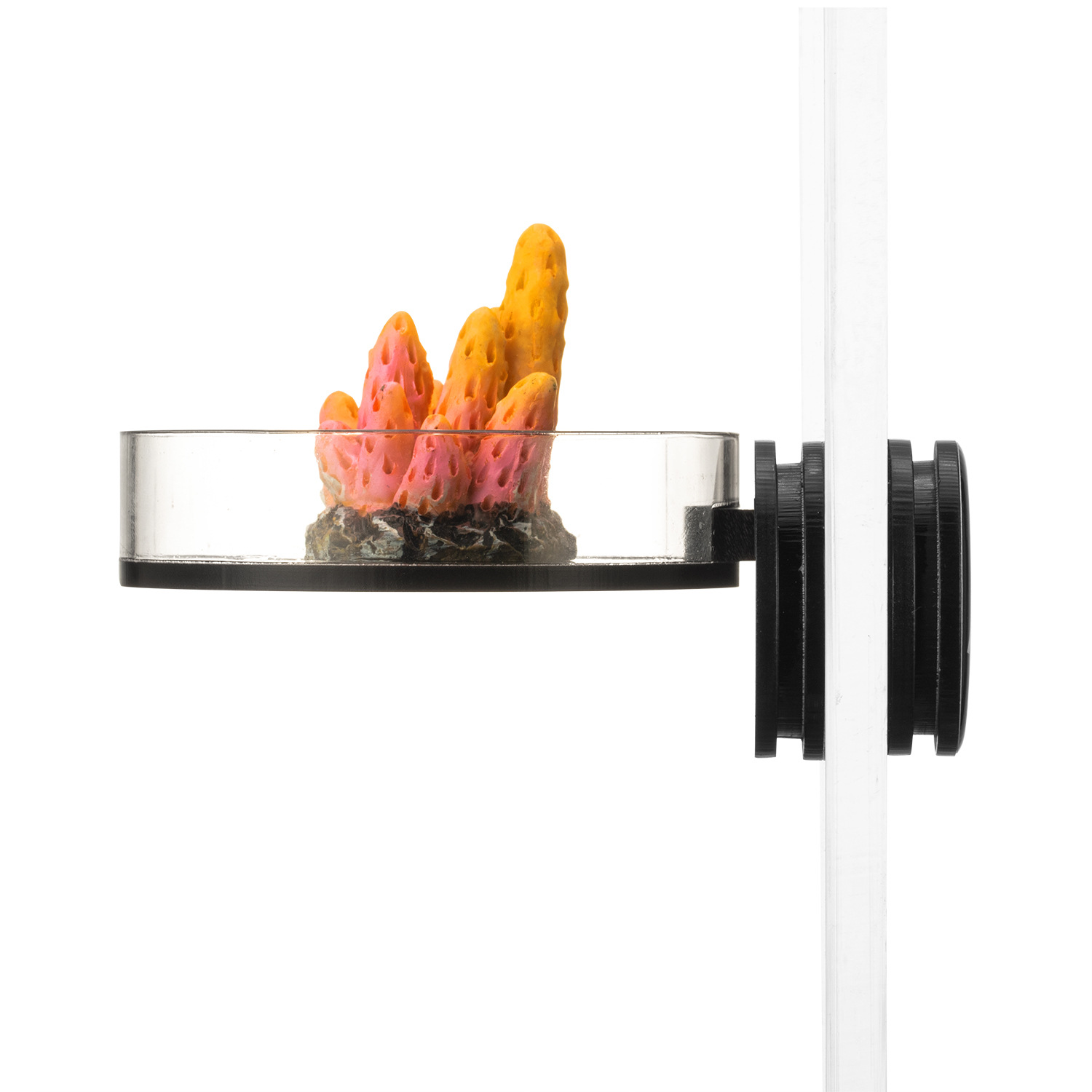 Marine Sources 70 mm schwarzes – Marine Coral Bewertung und Preis